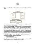 Referāts 'Vajadzības, labumi, derīgums', 5.