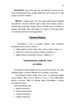 Referāts 'Tekstilmāksla (aušana, mezglošana, adīšana, tamborēšana, izšūšana, batika)', 19.