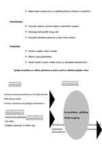 Referāts 'Tiešā tirdzniecība', 7.