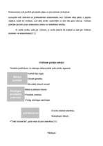 Referāts 'Tiešā tirdzniecība', 19.