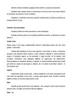 Referāts 'Tiešā tirdzniecība', 24.