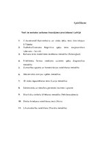 Diplomdarbs 'Disleksija un tās ietekme uz cilvēka dzīves kvalitāti', 25.