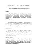 Referāts 'Mūzikas ietekme uz cilvēka psihi', 5.