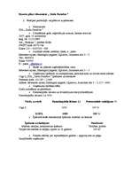 Biznesa plāns 'SIA "Ziedu Paradīze"', 1.