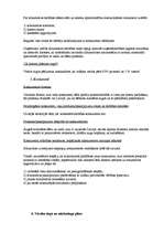 Biznesa plāns 'SIA "Ziedu Paradīze"', 4.