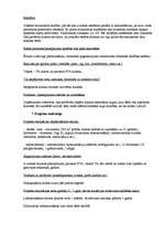 Biznesa plāns 'SIA "Ziedu Paradīze"', 5.