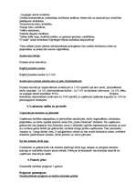 Biznesa plāns 'SIA "Ziedu Paradīze"', 6.