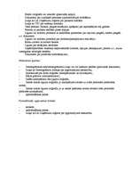 Biznesa plāns 'SIA "Ziedu Paradīze"', 8.