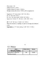 Biznesa plāns 'Spēļu istaba "Rotaļnieks"', 7.