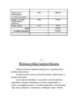 Biznesa plāns 'Spēļu istaba "Rotaļnieks"', 9.