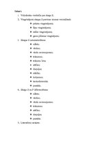 Konspekts 'Skaņa "S"', 2.