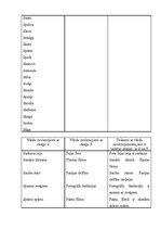 Konspekts 'Skaņa "S"', 19.