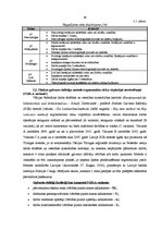 Diplomdarbs 'Darba vides risku analīze SIA "X" grāmatvedībā', 24.