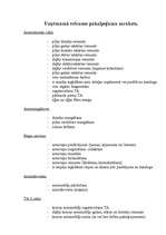 Prakses atskaite 'Prakses atskaite', 7.