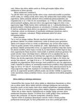 Prakses atskaite 'Prakses atskaite', 15.