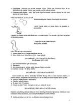 Konspekts 'Ģeogrāfiskā informācijas sistēma', 4.