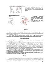 Konspekts 'Ģeogrāfiskā informācijas sistēma', 9.