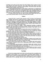 Konspekts 'Ģeogrāfiskā informācijas sistēma', 10.