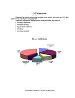 Biznesa plāns 'Autoserviss', 5.