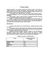 Biznesa plāns 'Autoserviss', 8.