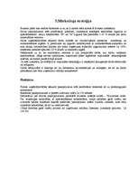 Biznesa plāns 'Autoserviss', 9.