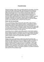 Referāts 'Mākslīgā intelekta ietekme uz grāmatvedību', 7.