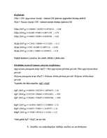 Prakses atskaite 'Patstāvīgais darbs par uzņēmumu "X"', 16.