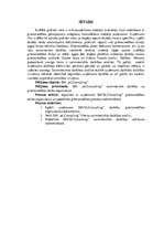 Referāts 'Grāmatvedības organizācija', 4.