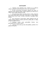 Referāts 'Grāmatvedības organizācija', 16.