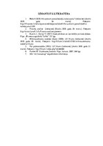 Referāts 'Grāmatvedības organizācija', 18.