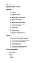 Konspekts 'Integrētās mācības sākumskolā', 6.