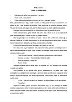 Konspekts 'Integrētās mācības sākumskolā', 8.