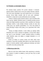 Referāts 'Tirgus analīze mārketingā', 10.