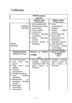 Referāts 'Tirgus analīze mārketingā', 15.