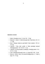 Diplomdarbs 'Bērna mazvērtības izjūtas izpausmes un to korekcijas iespējas vecākajā pirmsskol', 55.