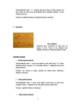 Konspekts 'Muguras jostas daļas vingrojumi', 4.