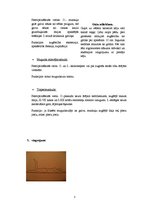 Konspekts 'Muguras jostas daļas vingrojumi', 6.