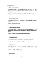 Konspekts 'Muguras jostas daļas vingrojumi', 7.