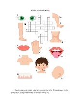 Konspekts 'Cilvēka ķermenis', 5.