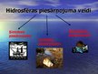 Prezentācija 'Hidrosfēras piesārņojums', 4.