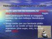 Prezentācija 'Hidrosfēras piesārņojums', 14.