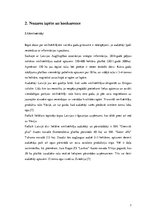 Biznesa plāns 'Biznesa plāns', 7.