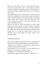 Biznesa plāns 'Biznesa plāns', 12.