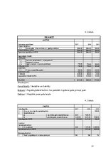 Biznesa plāns 'Biznesa plāns', 22.