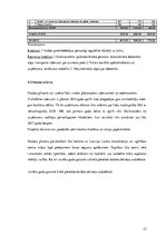 Biznesa plāns 'Biznesa plāns', 23.