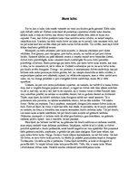 Eseja 'Mans laiks', 1.