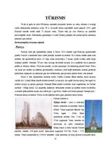 Referāts 'Francija', 16.