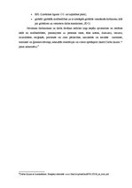 Referāts 'Darba tiesisko attiecību principi', 9.