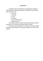 Referāts 'Darba tiesisko attiecību principi', 12.