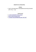 Referāts 'Darba tiesisko attiecību principi', 13.